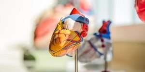 Read more about the article Best blood pressure instrument or apparatuses to be considered for buying